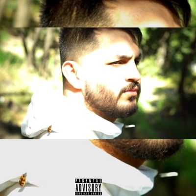 Hijo del Viento - Single
