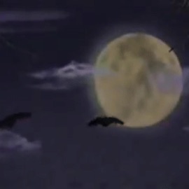 Killer's Beside Me Yung Juwap