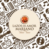 Apóstoles de Fuego (Lazos de Amor Mariano Ecuador) artwork