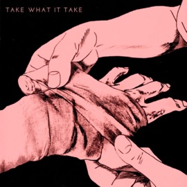 Take What It Take Akanimo
