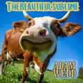 Beautiful Sublime