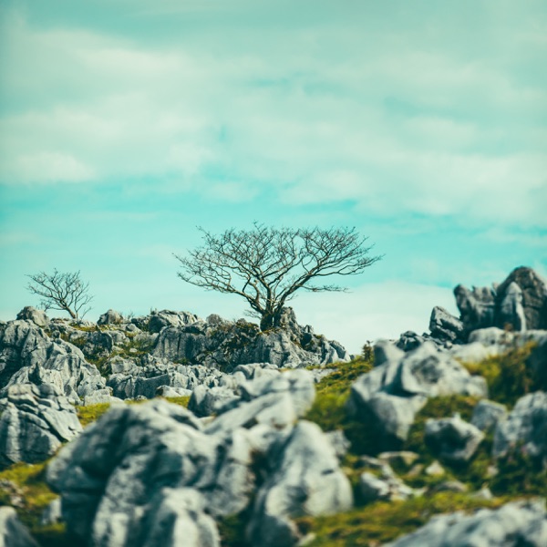 Save Me Tonight - Single