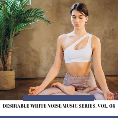 Desirable White Noise Music Series, Vol. 06