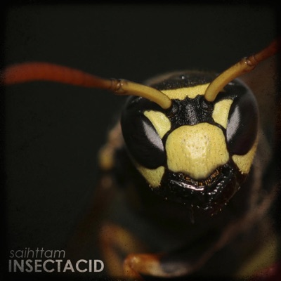 Insectacid - Single