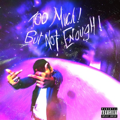 Too Much! But Not Enough!