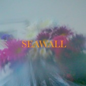 Neev - Seawall