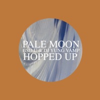 Hopped Up (feat. Bsd.U & Dj Yung Vamp) - Single - Pale Moon