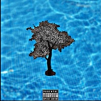 OVERDOSE (feat. XIIIDOLOR) - Single - Yung Memories