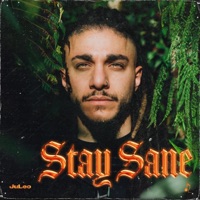 Stay Sane - Single - JuLeo