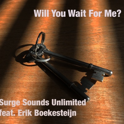 Will You Wait For Me? (feat. Erik Boekesteijn) - Single