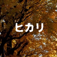 Hikari [Cover] - Single
