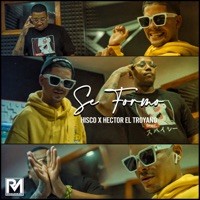 Se Formó - Single - Hisco & Hector El Troyano