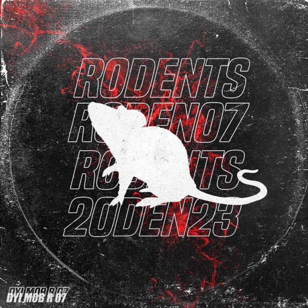 R 07 - Single