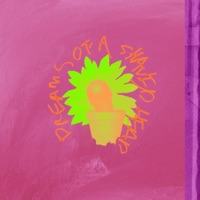 Dreams of a Shaved Head - Single - Beven Stary & Benji Socrate$