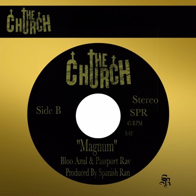 Magnum (feat. Bloo Azul & Passport Rav) - Single