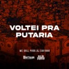 Voltei Pra Putaria - Single