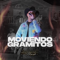 Moviendo gramitos - Single - Anthony Alvarado