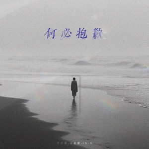 何必抱歉2.0 - Single