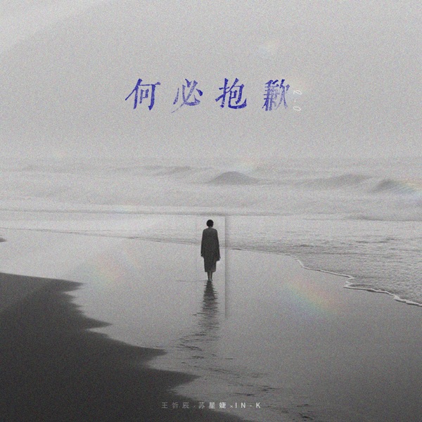 何必抱歉2.0 - Single