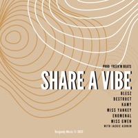 Share a Vibe (feat. Destruct, Kamy, Miss Yankey, Enomenal, Miss Gwen & Jackie Ashkin) [Radio Edit] - Single - Blesz