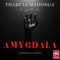 Ngamunye (feat. T.M.A_Rsa & B6 Rider) - Thabz Le Madonga lyrics