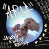 Aria - Single