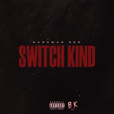 Switch Kind - Single