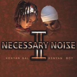 Nishamtambua (feat. Bamzigi, Atemi & Didgé) Necessary Noize
