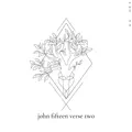 John Fifteen Verse Two