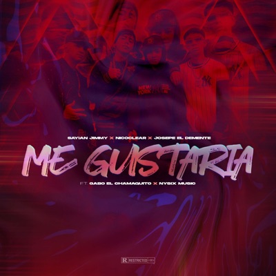Me Gustaria (feat. Nysix Music & Gabo El Chamaquito) - Single
