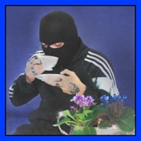 DUJEITO Q DA - Single - Pete Mcee & NoShugah