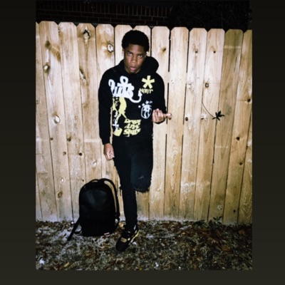 HoodLife (feat. Luh Mook, 601LiToon & Deuce) - Single