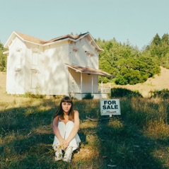 For Sale Sign - Single
