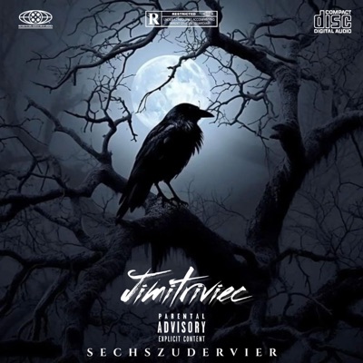 Schwarze Raben (feat. Tavo) - Single