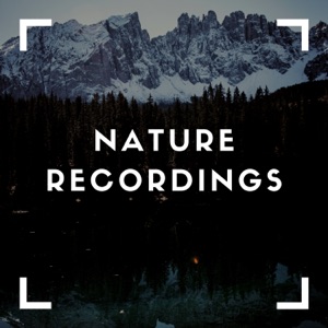 Soothing Natures Sounds