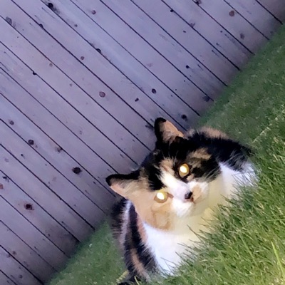 Sober (feat. Apollo the wave) - Single