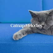 Catnap Melodies artwork