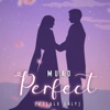 Perfect (Vocals Only) - Single