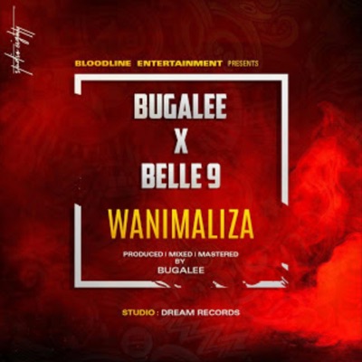 Wanimaliza (feat. Belle 9) - Single