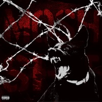 Mosh Sh!T - Single - BVD CXRTEX & Nini X