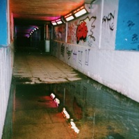 Something In the Water (feat. whereslm, Duccbod, DOCTOR JAY & Katie) - Single - Svirgo19