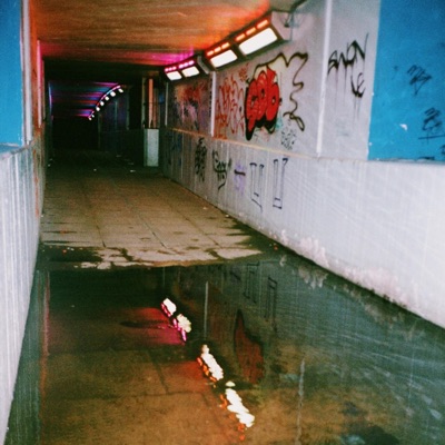 Something In the Water (feat. whereslm, Duccbod, DOCTOR JAY & Katie) - Single