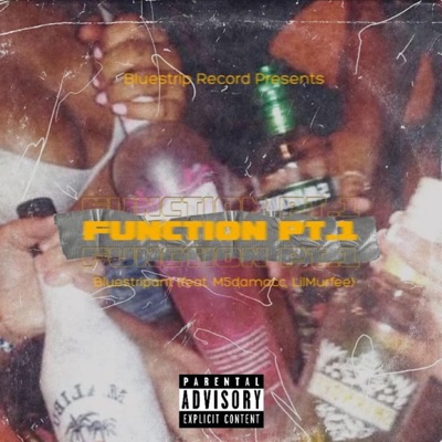 Function Pt. 1 (feat. M5damacc & LilMurfee) - Single