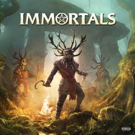 Immortals Mr Traumatik & NamaShaiYoga