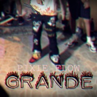 Grande - Single - Pixie Flow