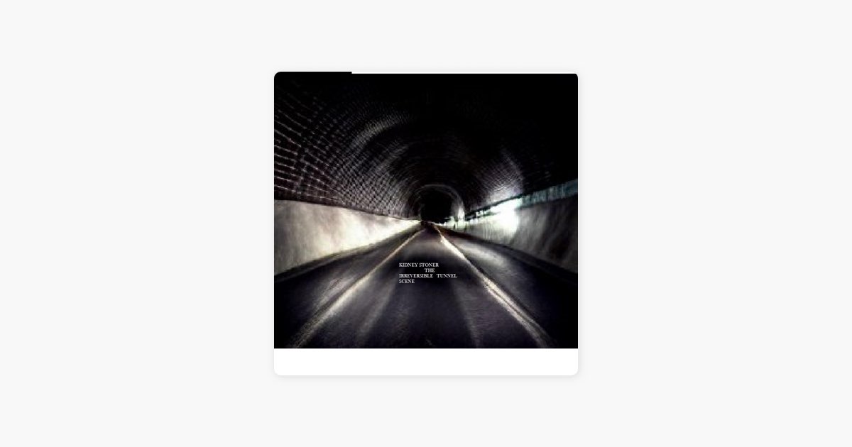 ‎The Irreversible Tunnel Scene – Song by Kidney Stoner – Apple Music