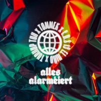 Alles Alarméiert - Single - Tommek