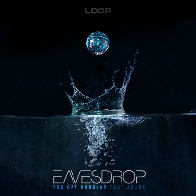 The Cat Burglar (feat. J Dubs) - Single