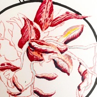 Ballet - Single - Saint Taint