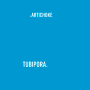 Шатёр - Artichoke